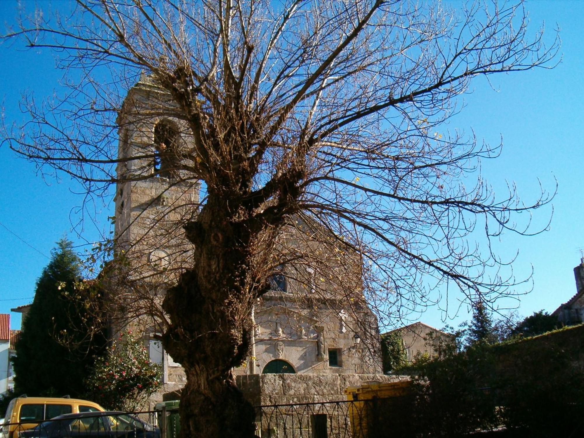 Hotel O Lagar Cambados Εξωτερικό φωτογραφία